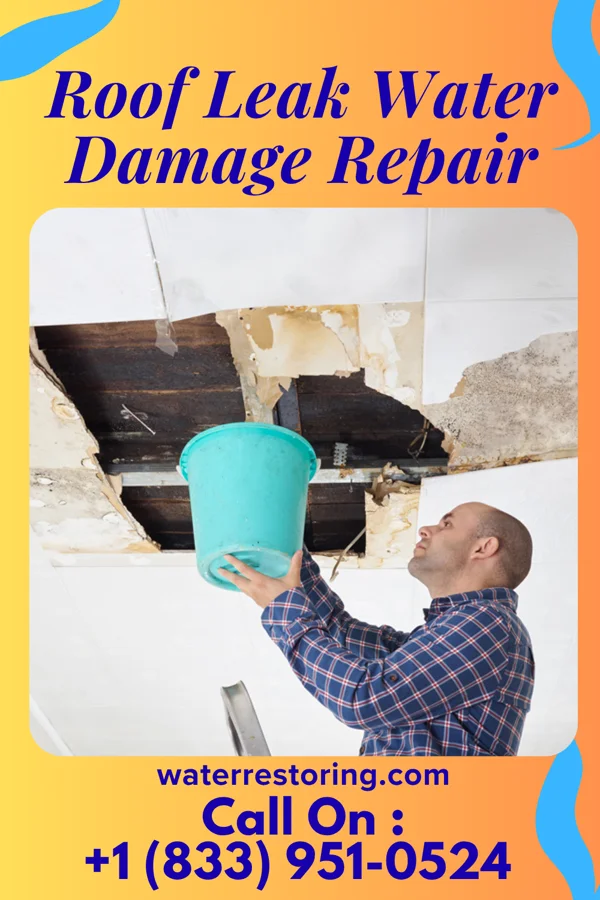 Roof Leak Water Damage Repair in Bevington, IA
