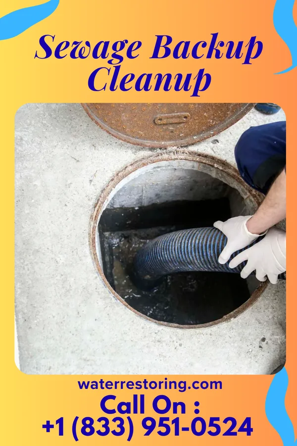 Sewage Backup Cleanup in Bevington, IA