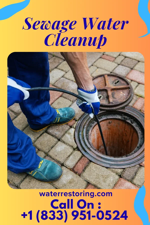 Sewage Water Cleanup in Bevington, IA